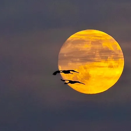 Appartement Sommerwiese Prerow